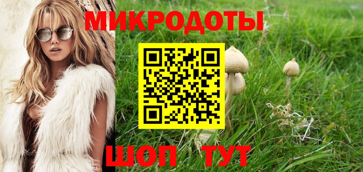 Галлюциногенные грибы прущие грибы  магазин продажи наркотиков  Вход с VPN  Отрадный  Псилоцибиновые грибы MAGIC MUSHROOMS 